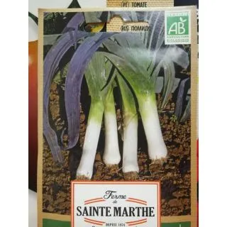 Compra PUERRO DE INVIERNO SAINT-VICTOR AB (500 Semillas) en la tienda online Fito Agrícola