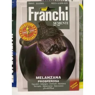 Compra BERENJENA PROSPEROSA (3 gr.). en la tienda online Fito Agrícola