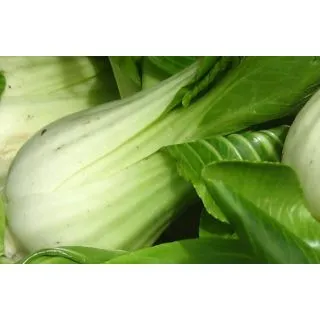 Compra PAK CHOI MEI QINNG CHOI EPS247 en la tienda online Fito Agrícola