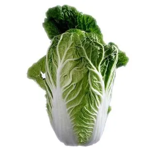 Compra COL CHINA ONEKILO EPS247 en la tienda online Fito Agrícola