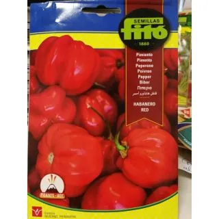Compra PIMIENTO HABANERO RED (1 gr.) en la tienda online Fito Agrícola