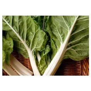 Compra ACELGA AMARILLA DE LYON Calibrada.(25.000 Semillas) en la tienda online Fito Agrícola