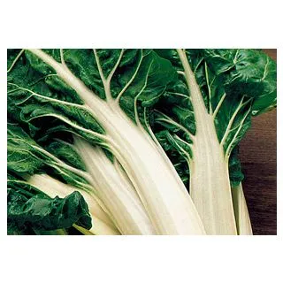 Compra ACELGA VERDE PENCA BLANCA R.A. (500 gr.). en la tienda online Fito Agrícola