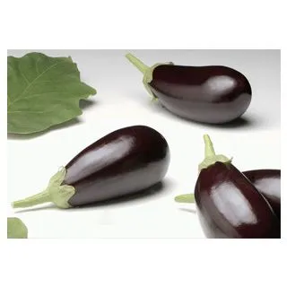 Compra BERENJENA CALANDA F1 (500 Semillas) en la tienda online Fito Agrícola