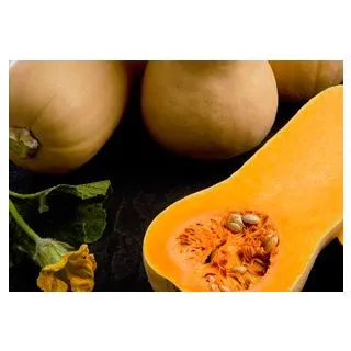 Compra CALABAZA AVALON F1 (500 gr.). en la tienda online Fito Agrícola