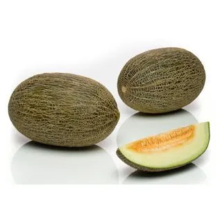 Compra MELÓN VALENTIN F1 (1000 Semillas). en la tienda online Fito Agrícola