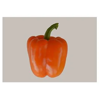 Compra PIMIENTO KUMAN F1 (1.000 Semillas) en la tienda online Fito Agrícola