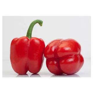 Compra PIMIENTO ERCINA F1 (1.000 Semillas) en la tienda online Fito Agrícola