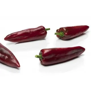 Compra PIMIENTO GAITANES F1 (1.000 Semillas) en la tienda online Fito Agrícola