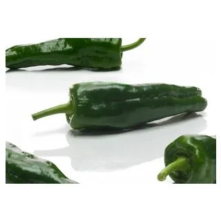 Compra PIMIENTO BOHEMIA F1 (1.000 Semillas) en la tienda online Fito Agrícola