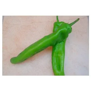 Compra PIMIENTO MEDRANO F1 (1.000 Semillas) en la tienda online Fito Agrícola