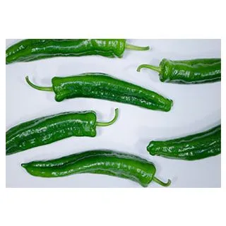 Compra PIMIENTO SALVATORE F1 (1.000 Semillas) en la tienda online Fito Agrícola