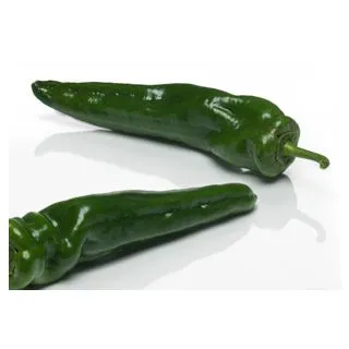 Compra PIMIENTO VINCI F1 (1.000 Semillas) en la tienda online Fito Agrícola