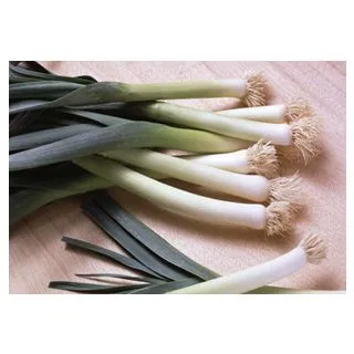 Compra PUERRO GRUESO LARGO DE VERANO Sel. Alabastro (500 gr.) en la tienda online Fito Agrícola