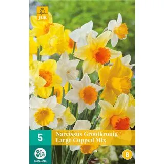 Compra NARCISOS DE FLOR GRANDE MIX en la tienda online Fito Agrícola