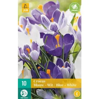 Compra CROCUS BLUE WHITE MIX en la tienda online Fito Agrícola