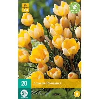Compra CROCUS ROMANCE en la tienda online Fito Agrícola