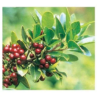 Compra ALADIERNO (100 gr.). en la tienda online Fito Agrícola