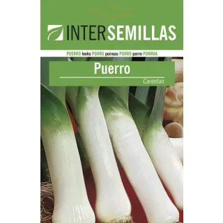 Compra PUERRO CARENTAN 2/3 (500 gr.). en la tienda online Fito Agrícola