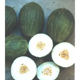 Compra MELÓN ROCHET (100 gr.). en la tienda online Fito Agrícola