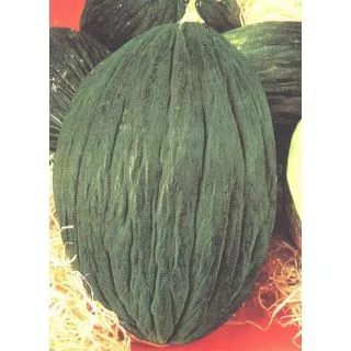 Compra MELÓN TENDRAL VALENCIANO TARDÍO (100 gr.) en la tienda online Fito Agrícola
