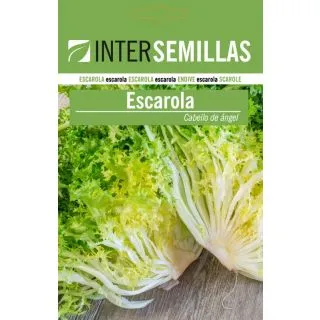 Compra ESCAROLA RIZADA DE CABELLO DE ANGEL (100 gr.). en la tienda online Fito Agrícola