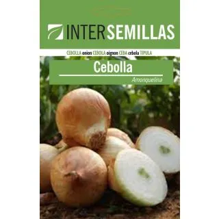 Compra CEBOLLA AMONQUELINA (100 gr.). en la tienda online Fito Agrícola