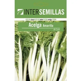 Compra ACELGA AMARILLA DE LYON 2/3 (100 gr.). en la tienda online Fito Agrícola