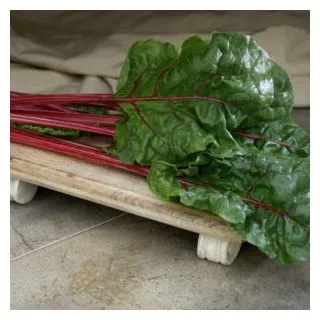 Compra ACELGA FIRE FRESH BABY LEAF (50.000 Semillas) en la tienda online Fito Agrícola