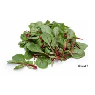 Compra ACELGA SEREN F1 BABY LEAF (50.000 Semillas) en la tienda online Fito Agrícola