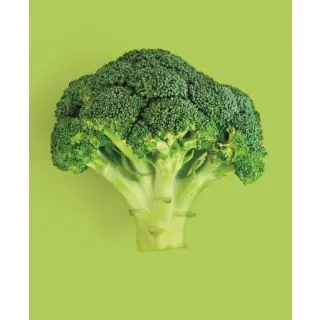 Compra BRÓCOLI PERSEUS F1 (2.500 Semillas) en la tienda online Fito Agrícola