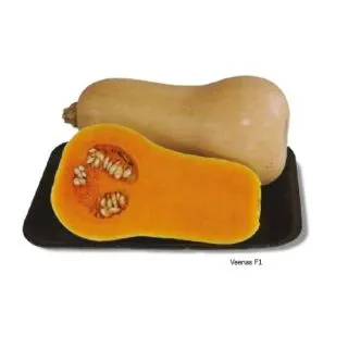 Compra CALABAZA VEENAS F1 (1.000 Semillas) en la tienda online Fito Agrícola