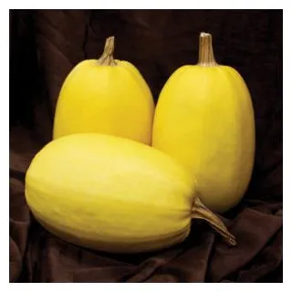 Compra CALABAZA ALDENTE F1 (1.000 Semillas). en la tienda online Fito Agrícola