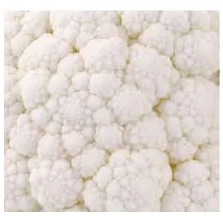 Compra COLIFOR DENTON F1 (2.500 Semillas) en la tienda online Fito Agrícola