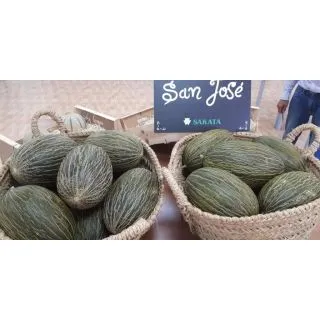 Compra MELÓN SAN JOSE F1 (1000 Semillas). en la tienda online Fito Agrícola