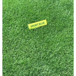 Compra CÉSPED SPORT BLUE (25 Kgr.). en la tienda online Fito Agrícola