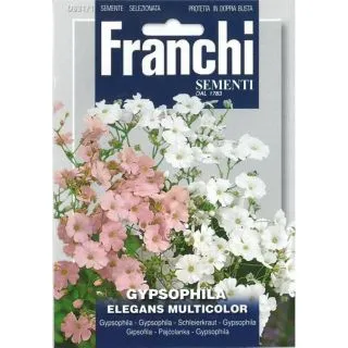 Compra GIPSOFILA ELEGANS MULTICOLOR (100 gr.). en la tienda online Fito Agrícola