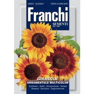 Compra GIRASOL ORNAMENTAL MULTICOLOR (4 gr.). en la tienda online Fito Agrícola