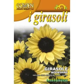 Compra GIRASOL MOONSHINE (50 gr.). en la tienda online Fito Agrícola