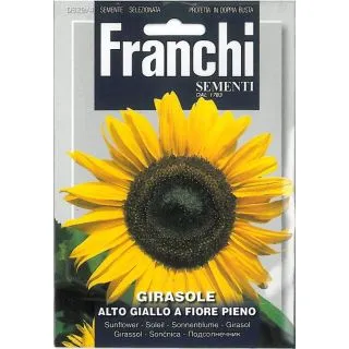 Compra GIRASOL ALTO AMARILLO DE FLOR LLENA (100 gr.). en la tienda online Fito Agrícola