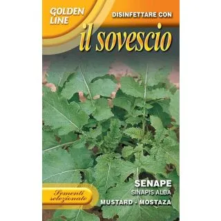 Compra MOSTAZA BLANCA FORRAJERA (100 gr.). en la tienda online Fito Agrícola