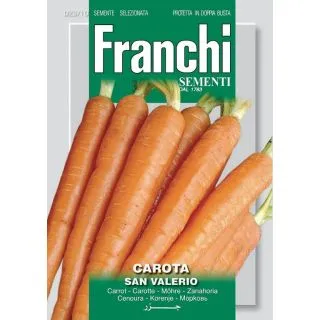 Compra ZANAHORIA SAN VALERIO (9 gr.). en la tienda online Fito Agrícola