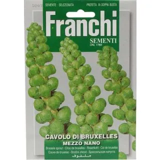Compra COL DE BRUSELAS MEZZO NANO (100 gr.). en la tienda online Fito Agrícola