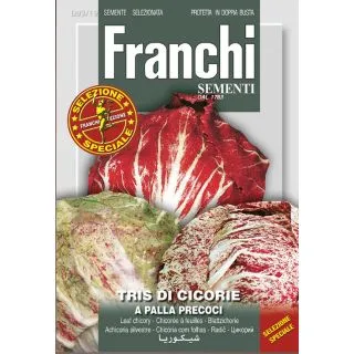 Compra MEZCLA DE ACHICORIAS PRECOCES (4 gr.). en la tienda online Fito Agrícola