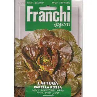 Compra LECHUGA PARELLA ROSSA - Roja de Montepellier (100 gr.) en la tienda online Fito Agrícola