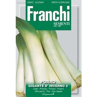 Compra PUERRO GIGANTE DE INVIERNO 2 (100 gr.). en la tienda online Fito Agrícola