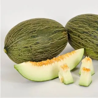 Compra MELÓN PORTUS F1 (1000 Semillas). en la tienda online Fito Agrícola