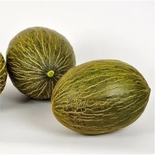 Compra MELÓN RONCERO F1 (1000 Semillas). en la tienda online Fito Agrícola