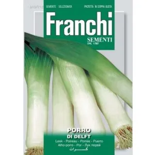 Compra PUERRO DI DELFT (6 gr.). en la tienda online Fito Agrícola
