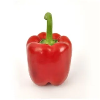 Compra PIMIENTO ARDANZA F-1 (1000 Semillas) en la tienda online Fito Agrícola